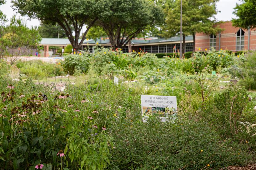 The school garden at Parkcrest Elementary School photographed on Monday, July 12, 2021, in...
