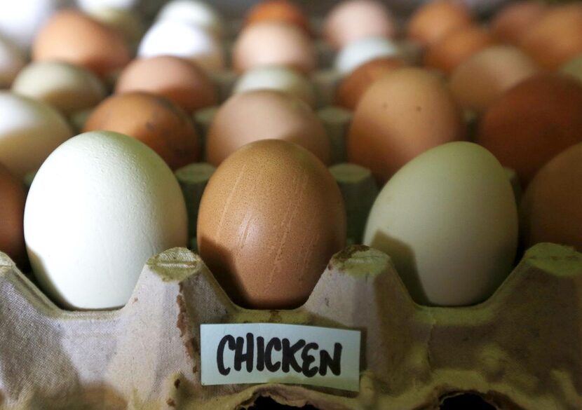 Eggs, from chicken  to quail and goose, are a specialty at Lola’s Local Market.