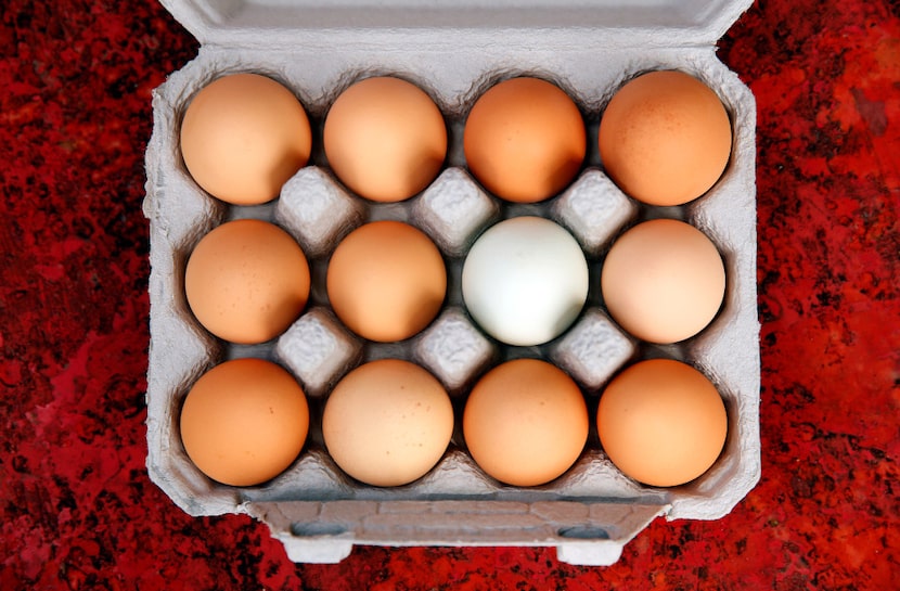 A fresh dozen eggs are placed in a carton and chilled on the Bois d'Arc farm in Allens Chapel.