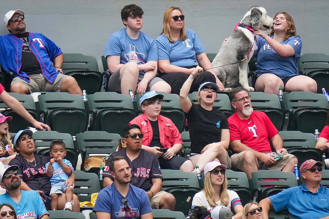Fans cheer the Texas Rangers during the second inning as they watch along with their dogs...