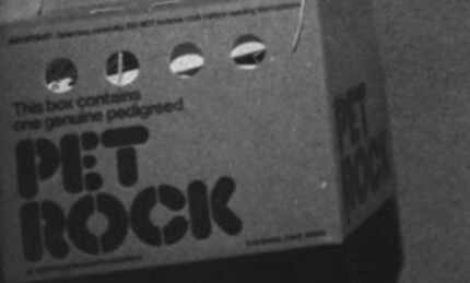  The Pet Rock came in a cardboard pet carrier and included care instructions. (File 1976/San...