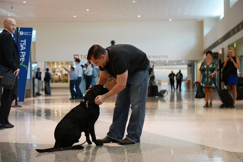 Former Marine Robert Hulsey and greets Jjoe, a retired U.S. Marine Corps Improvised...