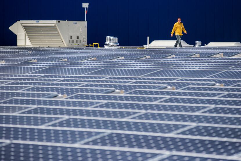 Store Manager Matt Hunsicker walks among 2,800 large format solar panels that have been...