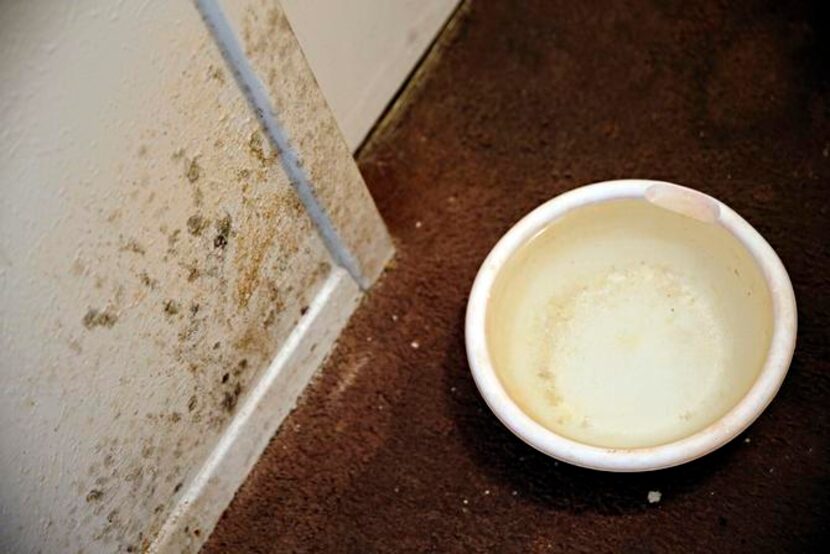 
A bowl collects drips from an air conditioning unit near mold and water damage. 
