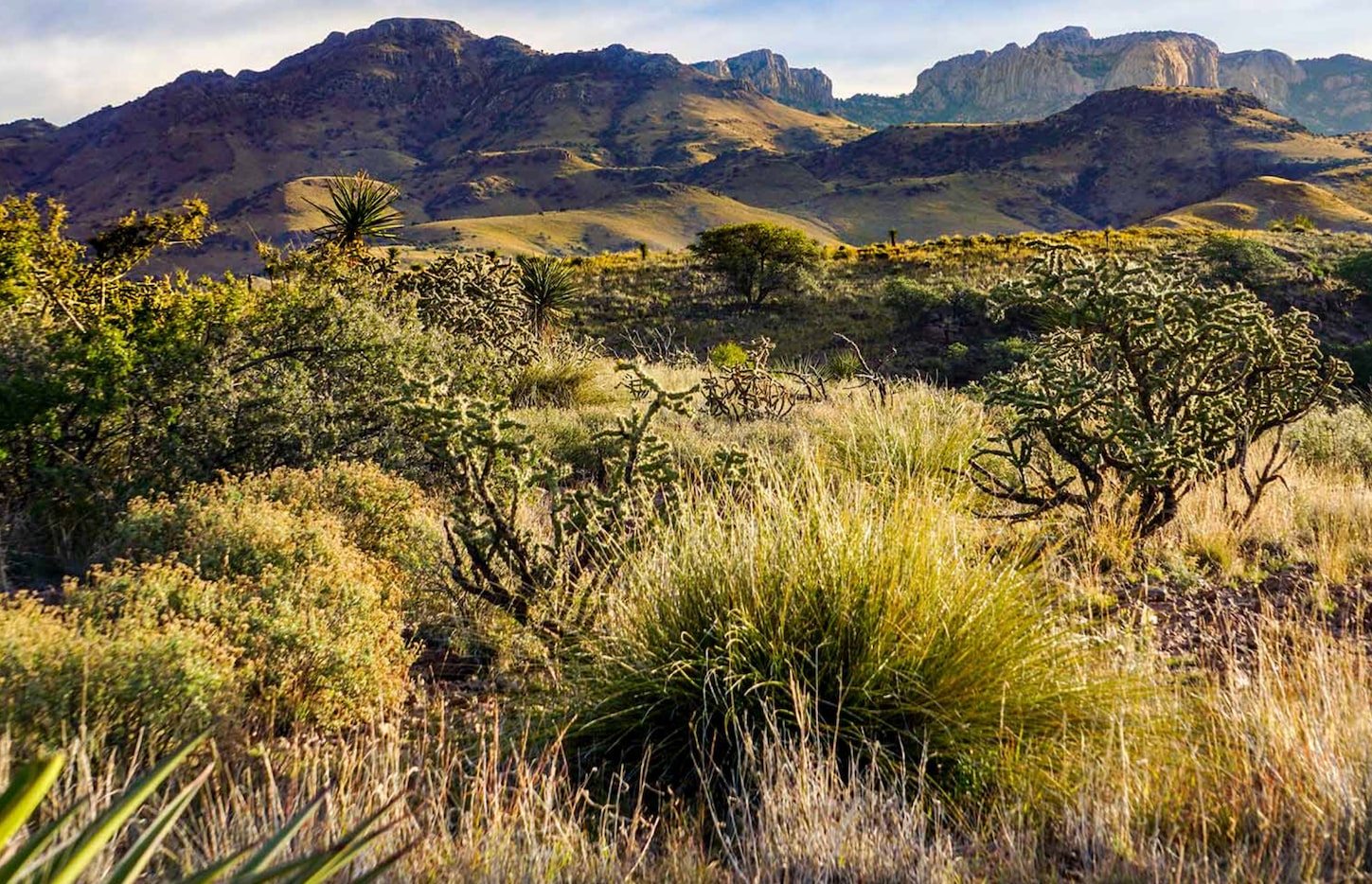 The Gearhart Ranch near Fort Davis is more than 9,150 acres.