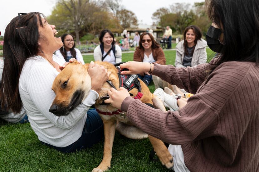 Janette Ritual, left, and Danielle Morales, both of San Antonio, play with a dog named Kenai...
