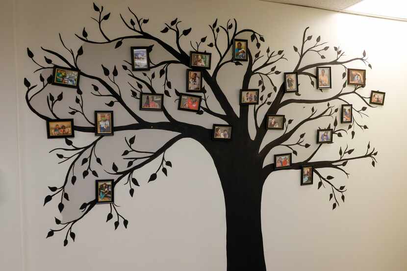 A tree features photos of their clients and newborn babies at Birth Choice pictured on...