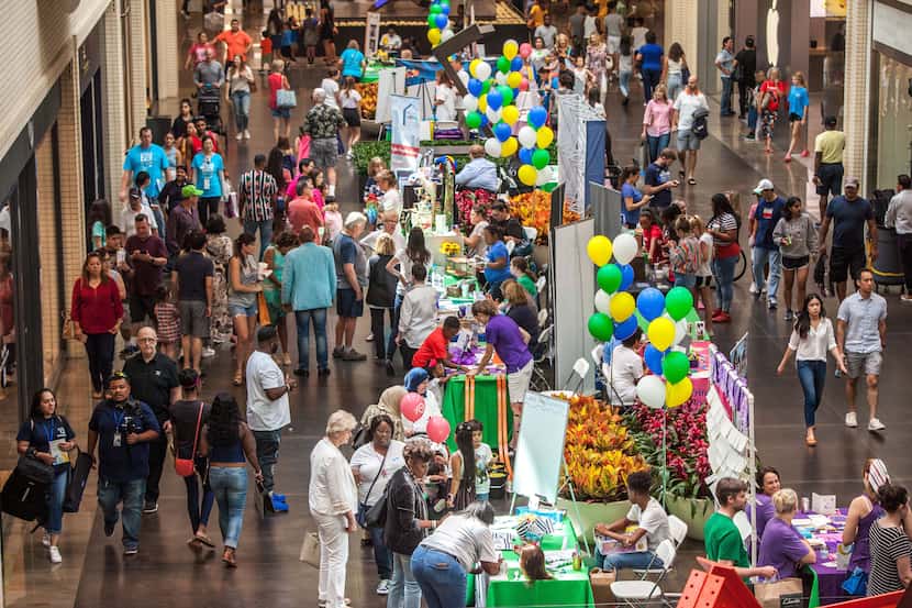 Crowds lined up to donate to nonprofits as part of North Texas Giving Day on Sept. 19, 2019,...