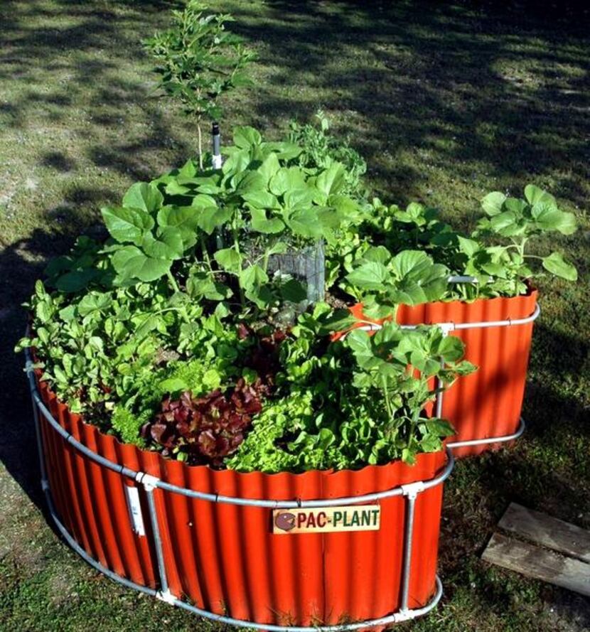 
Though small, keyhole gardens can provide big, almost year-round harvests of fresh...