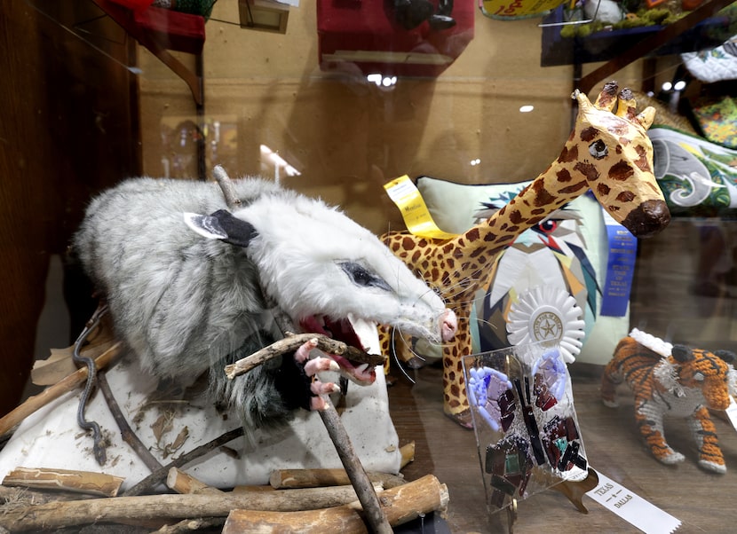 That's no taxidermy possum, but rather one sewn by hand and on display in the Creative Arts...