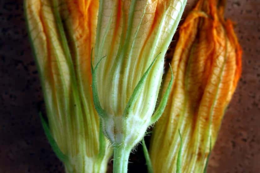Squash blossoms  from Waxahachie are among the local produce at Jimmy’s Food Market.