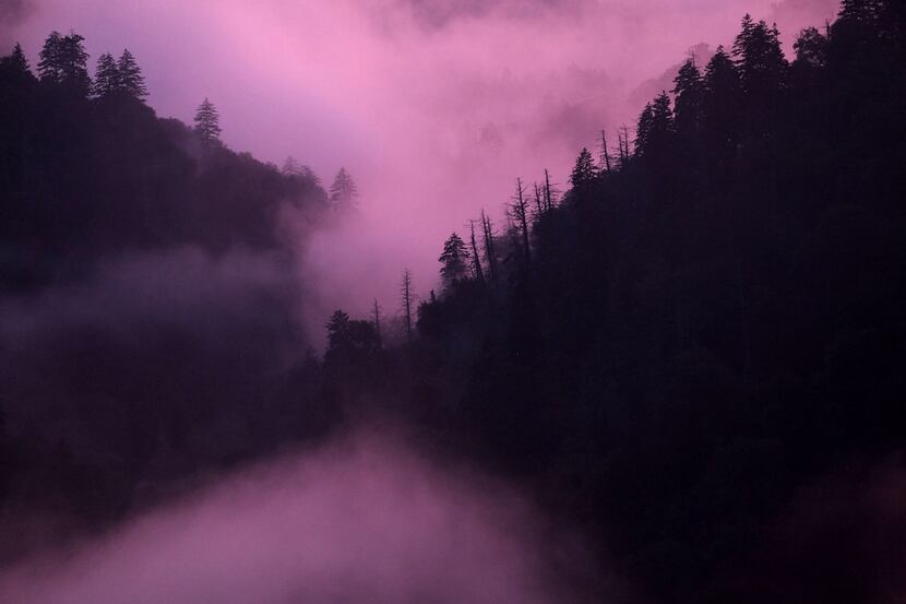 Fog settles near sunset in Great Smoky Mountains National Park in Tennessee. Formed between...