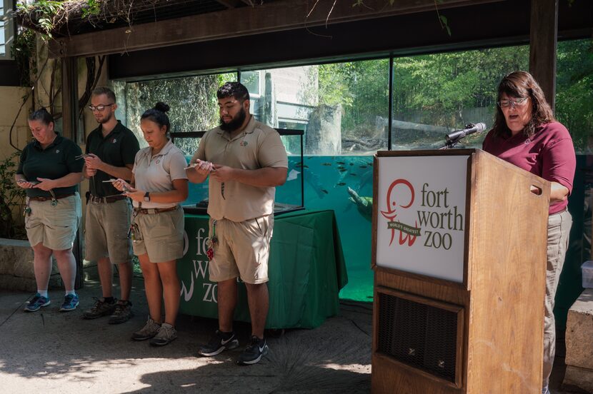 Vicky Poole, associate curator of ectotherms, (right) announces the arrival of four gharial...