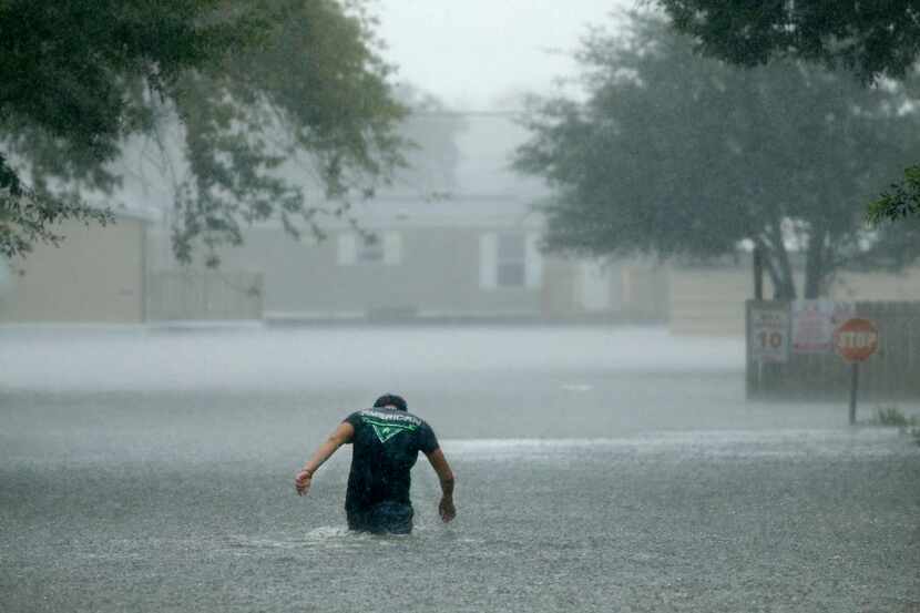 In a driving rain storm, a lone man heads back into the flood Pearland Acres Mobile Home...