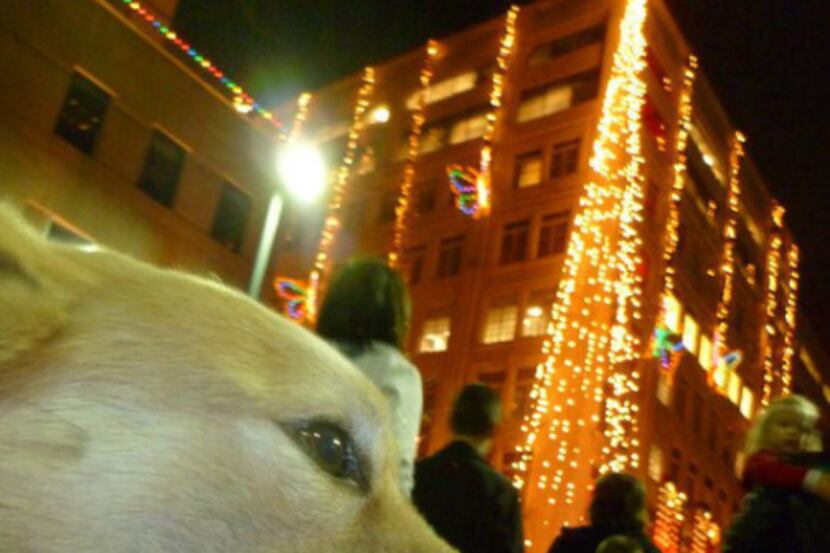 B.K. checked out the decorations at a previous City Lights celebration downtown.