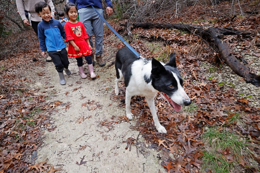 Nicolas Halligan, 4, of Dallas, walks with Valentina De la Cruz, 4, of Dallas, as De la...