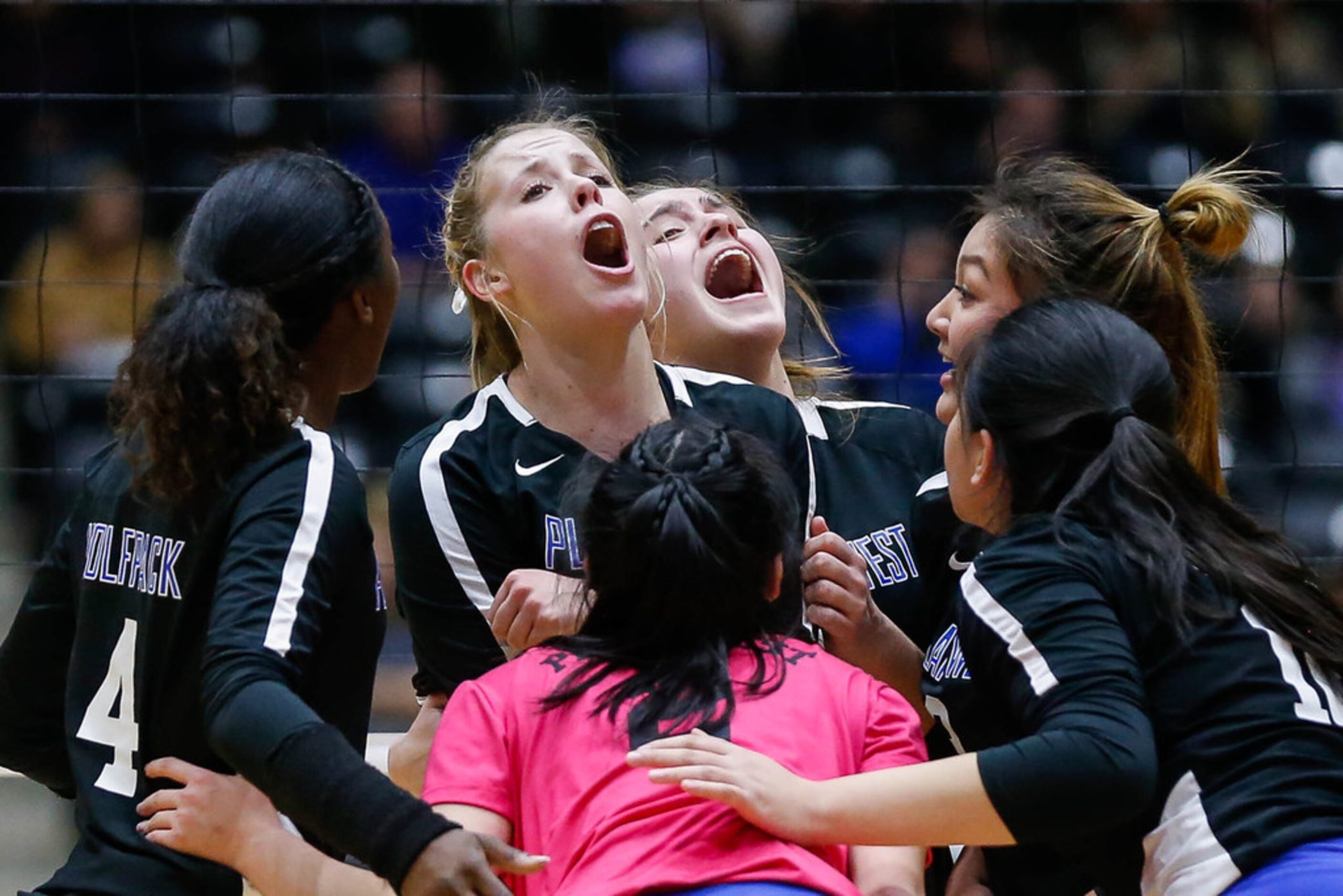 The Plano West Wolves react to a game point the third set during a class 6A volleyball state...