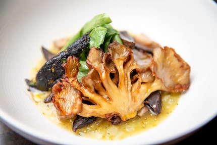 Mushrooms and salsa verde are one of the expected menu items at Tulum.