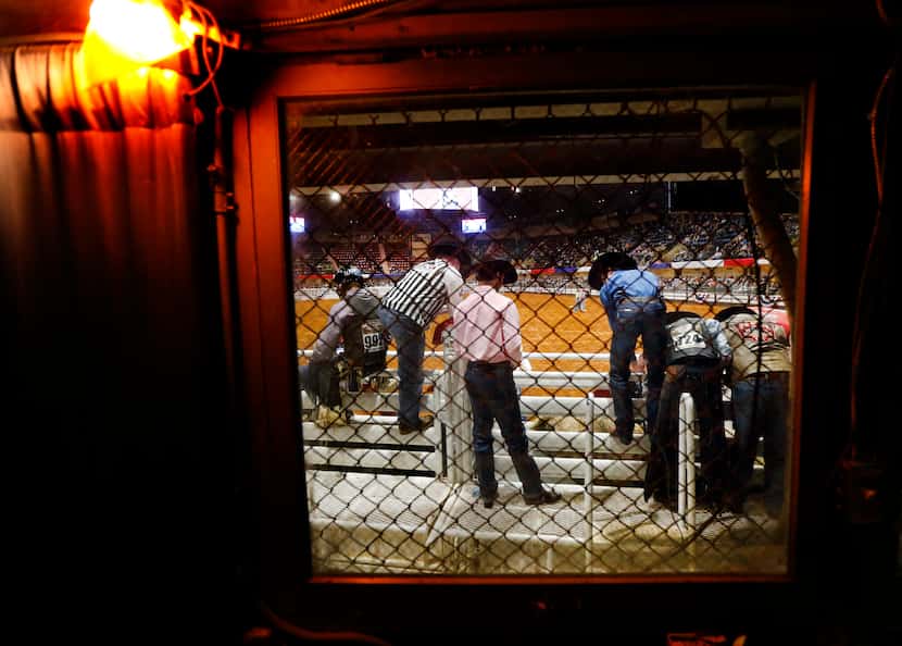 Bull riders on the bucking chutes are seen through the fence protected windows of the lower...