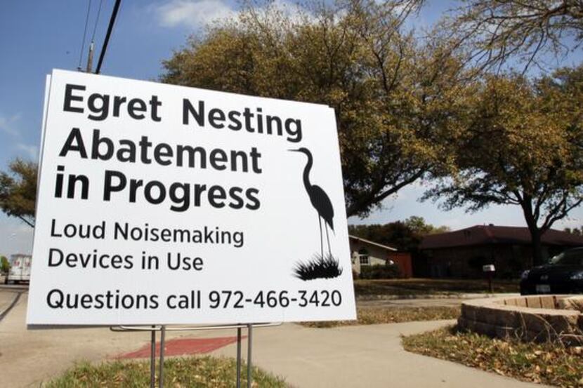 
A sign at the intersection of Josey Lane and Chamberlain address the egret-nesting problem...