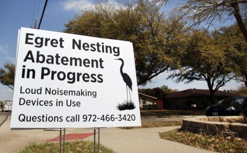 
A sign at the intersection of Josey Lane and Chamberlain address the egret-nesting problem...
