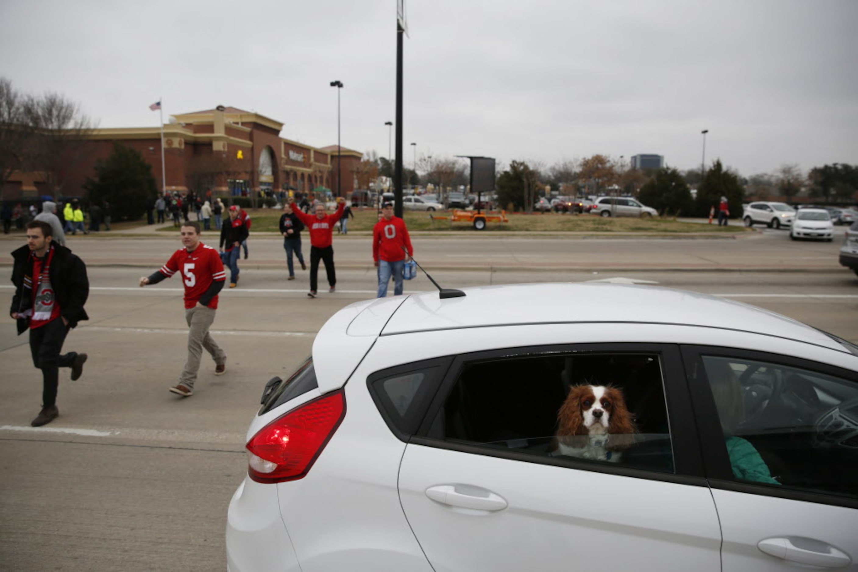 Ohio State Buckeyes fans walk toward the stadium as a dog sits in a car before the College...