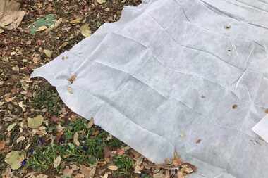 It's a good idea to buy floating row cover before the first freeze. It can be used over...