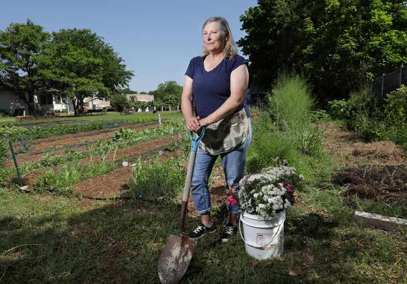 Amanda Vanhoozier tends to her flower garden in Coppell.