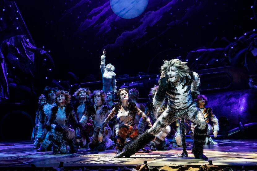 Dan Hoy plays Munkustrap in the North American tour of "Cats."