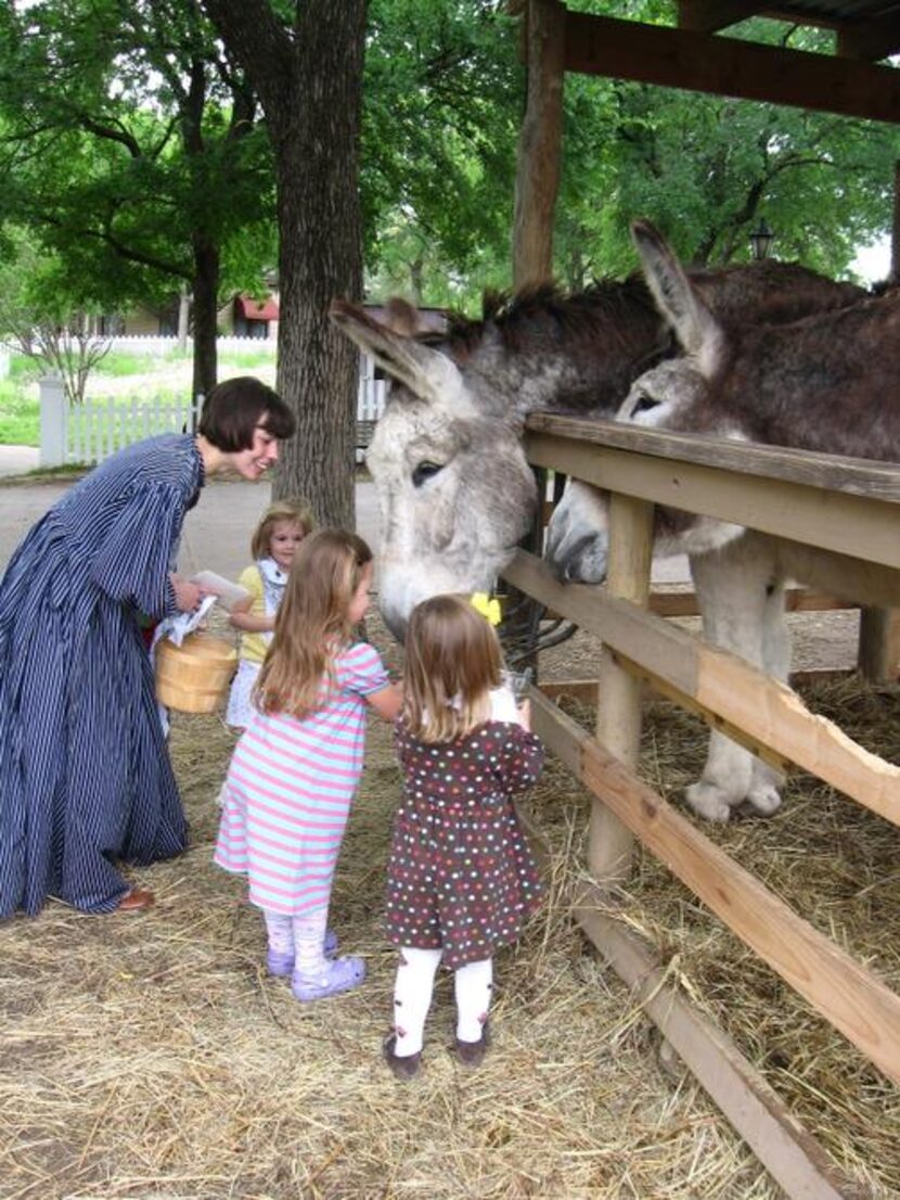 
Visitors can stop by the carriage house to see mammoth jack donkeys Nip and Tuck, who give...