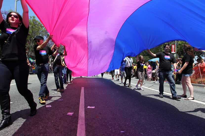 People marching with anBi, a bisexual organization, carry a bisexual flag in the 43rd L.A....