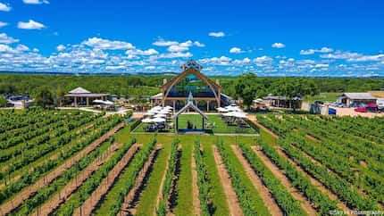 Augusta Vin Winery and surround vineyard