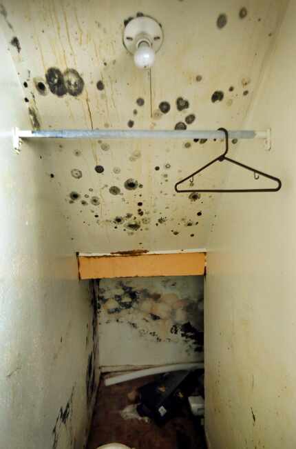 Mold spores grow in a stairwell closet at the tornado-ravaged Southwind complex on Brockbank...