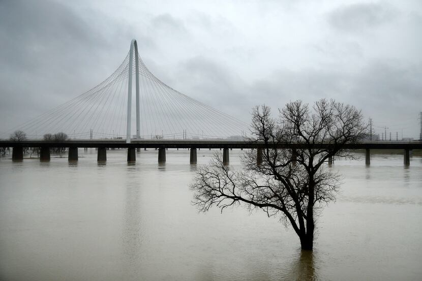 The rain-swollen Trinity River overflowed its banks Wednesday near the Margaret Hunt Hill...