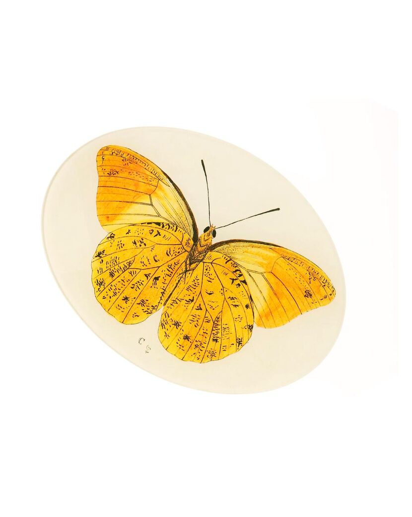 
An illustration under glass depicts a large, butter-yellow moth. 12-inch oval, $110, at...