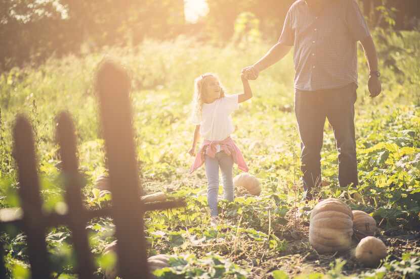 A new season is upon us when we think of pumpkins and ghosts, cider and candy apples. Autumn...
