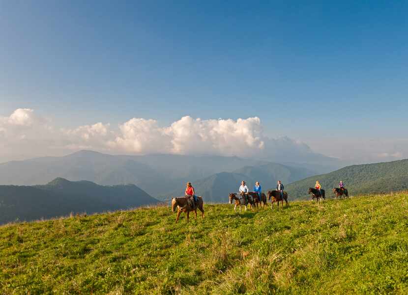 Maggie Valley, a popular mountain destination in western North Carolina, is a 20-mile drive...