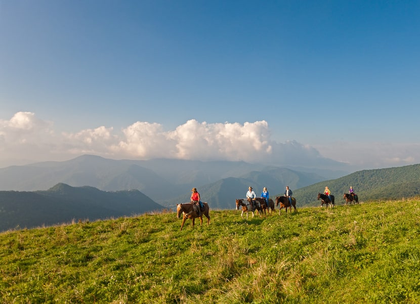 Maggie Valley, a popular mountain destination in western North Carolina, is a 20-mile drive...