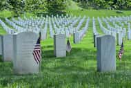 American flags are placed at the gravesites of service members buried at Arlington National...