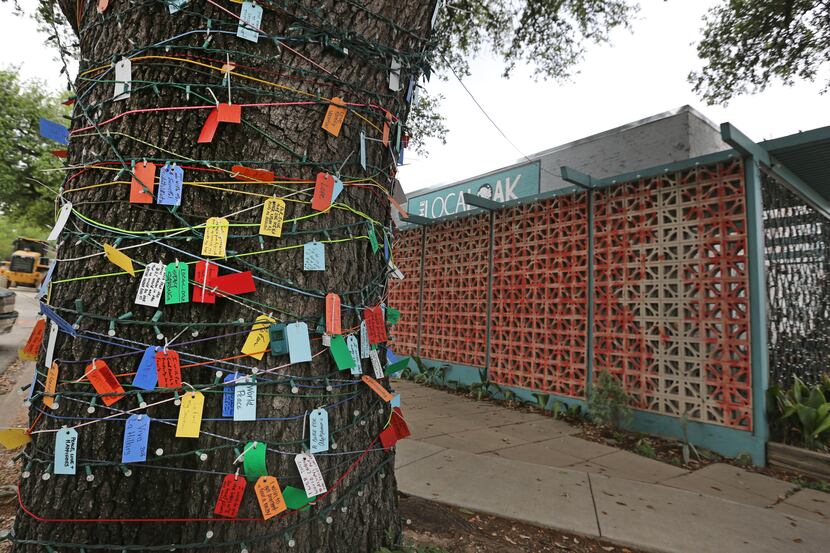 A tree covered with cards with wishes written on them is seen outside the Local Oak...