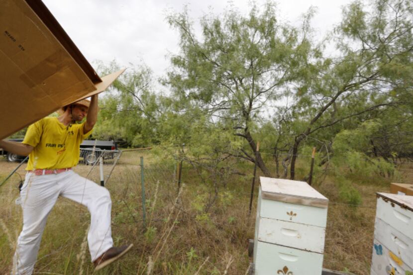 Brandon Pollard moved a box to cover a bee hive before spraying planned near the border of...