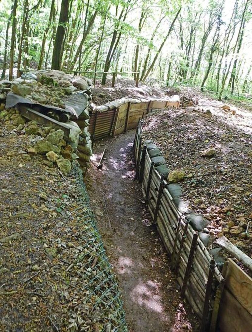 
A portion of the trenches near the St. Mihiel Battlefield have been preserved, allowing...