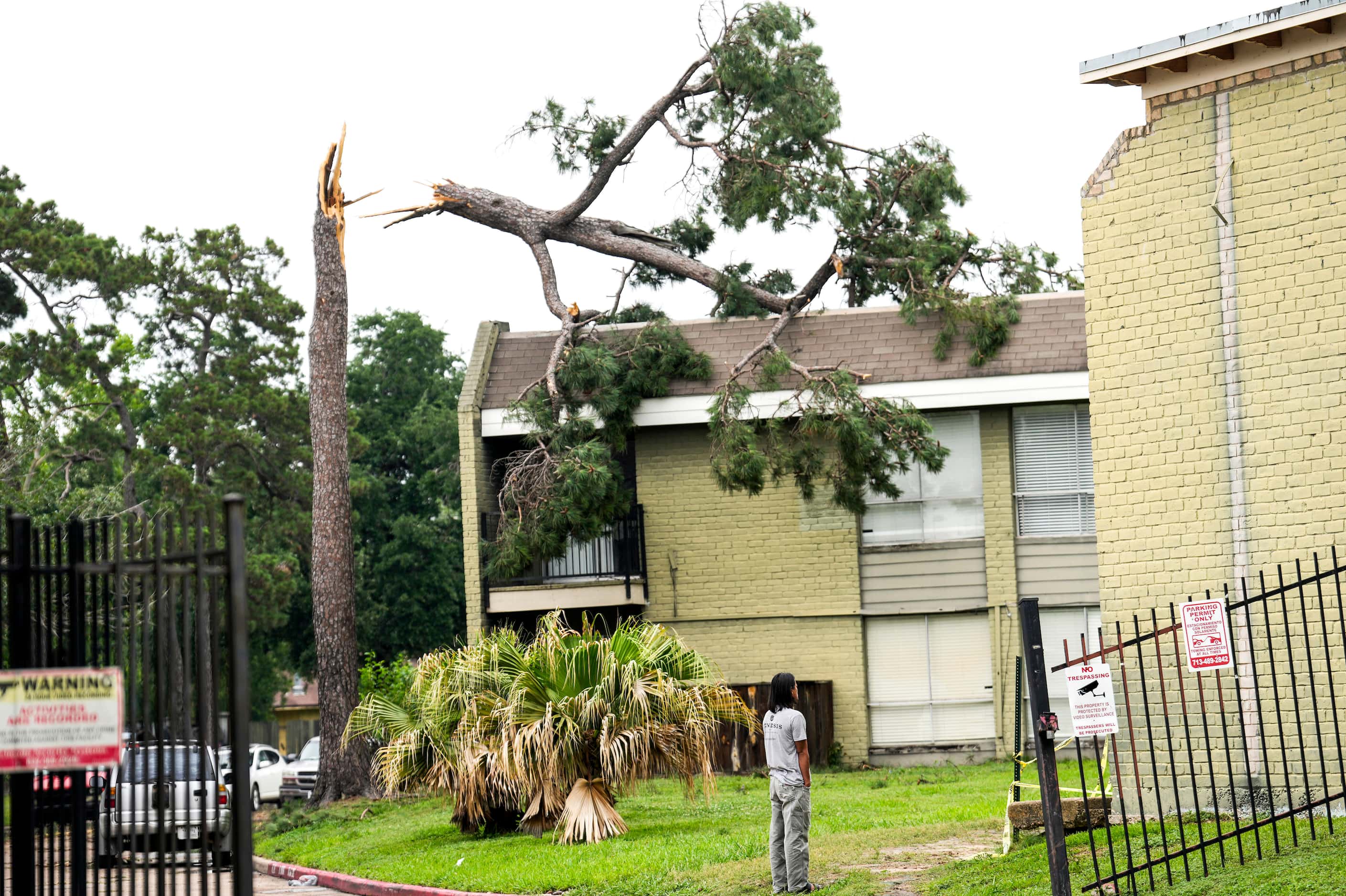 A tree is seen toppled over on an apartment building in the aftermath of a severe storm on...