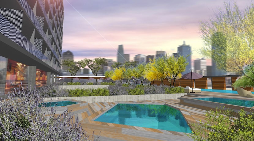 The pool deck on JMJ Development's Design District building overlooks downtown.