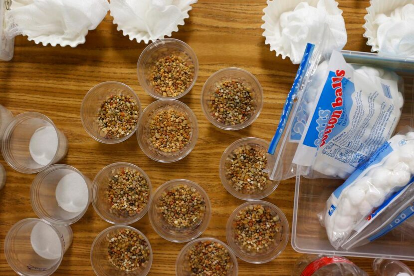 
Materials to make a water filter in the Engineering is Elementary program sit on a desk at...