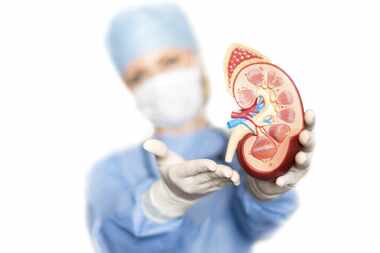 Especialistas evaluarán si está en riesgo de desarrollar una enfermedad renal el 10 de marzo...