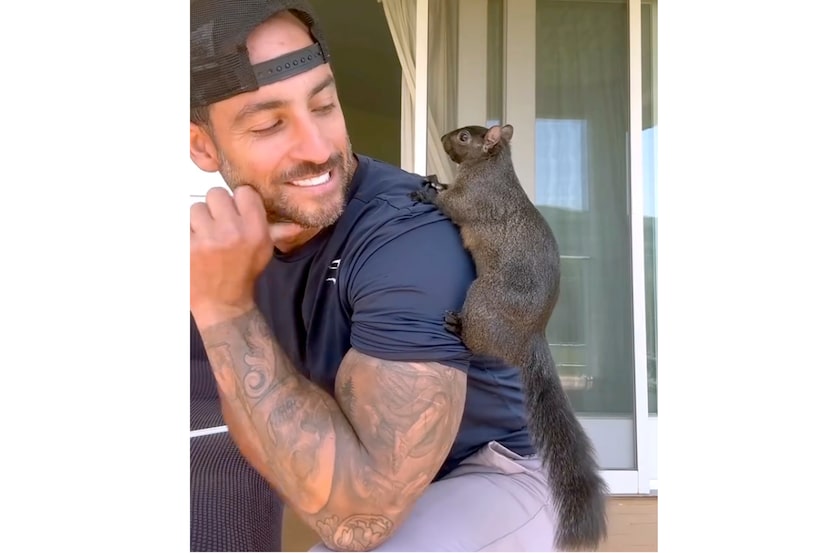 This undated image provided by Mark Longo shows him with his pet squirrel Peanut that was...