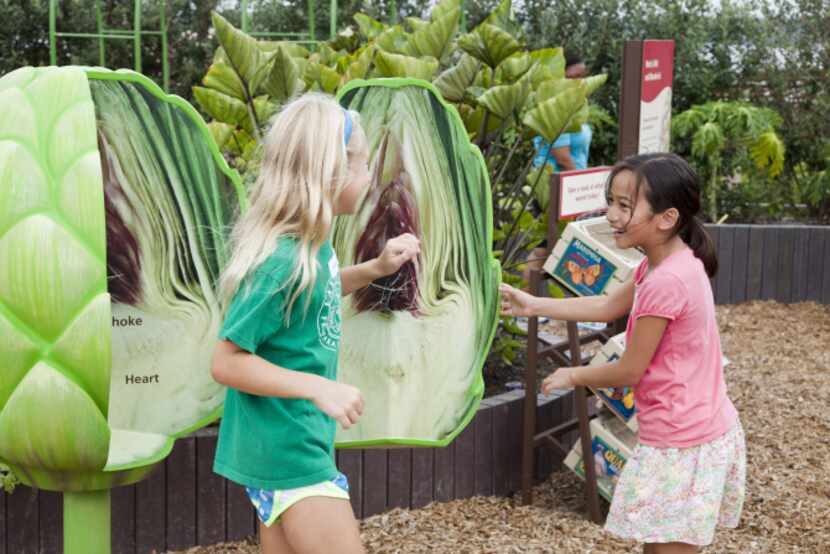 Artichoke station at the Incredible Edibles display at new children's garden at Dallas...
