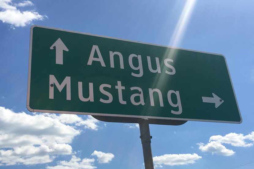 The town of Mustang that's for sale is 55 miles south of Dallas near Corsicana.