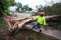Dionysius Torreros, of the City of Houston, works on clearing a tree that toppled across...